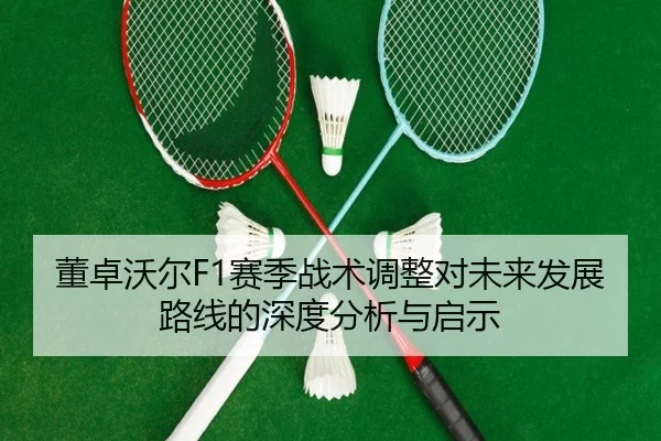 董卓沃尔F1赛季战术调整对未来发展路线的深度分析与启示